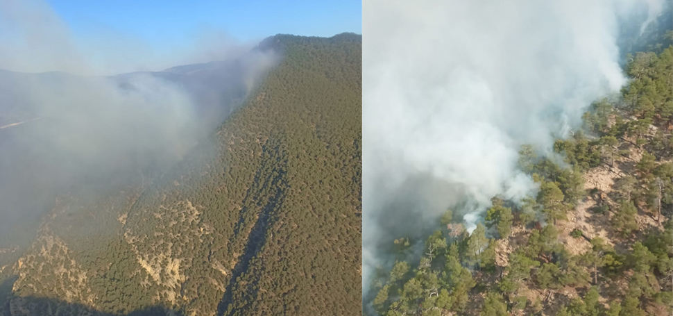 Bolu’nun Göynük ilçesinde yıldırım düşmesi sonucu ormanlık alanda çıkan yangına