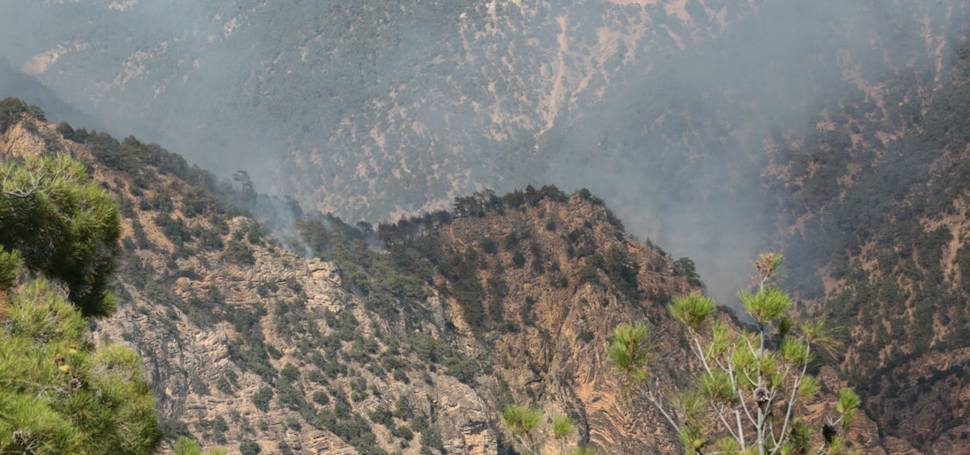 Bolu’nun Göynük ilçesinde yıldırım düşmesi sonucu ormanlık alanda çıkan yangına