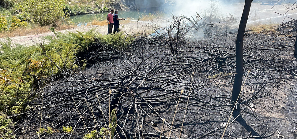 Karabük’te çıkan örtü yangını büyümeden söndürüldü. Yeşil Mahalle Şehit Ateşe