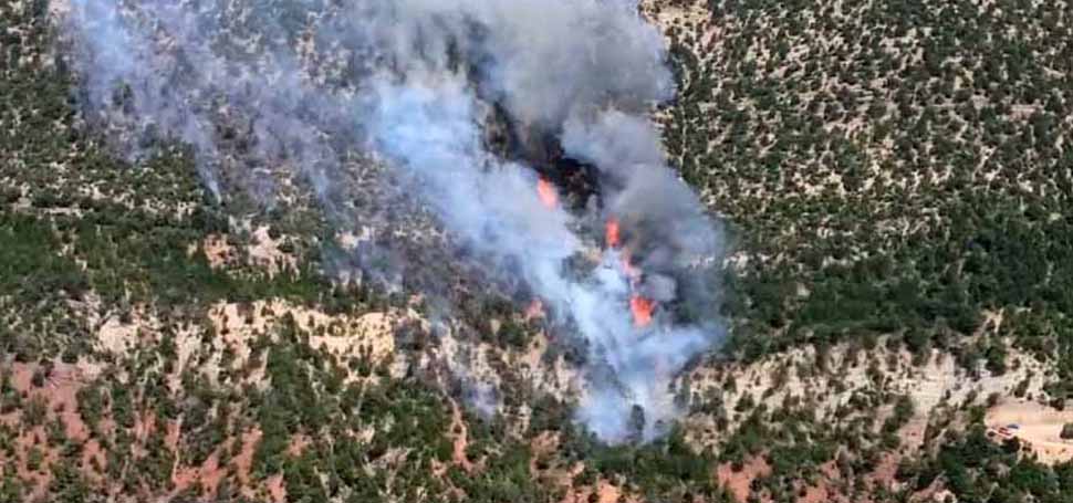Bolu’nun Göynük ilçesinde ormanlık alanda henüz bilinmeyen nedenle yangın çıktı.