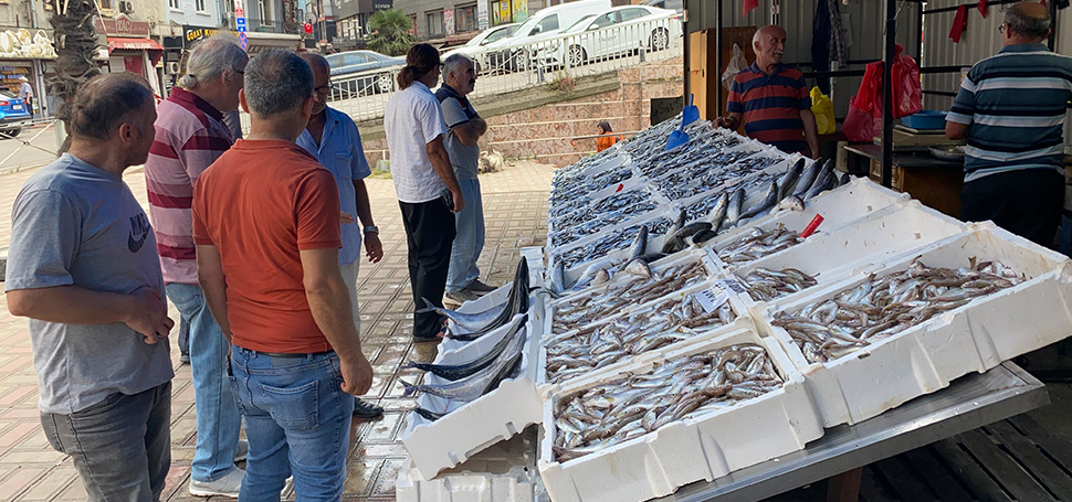 Zonguldak’ta av yasağının kalkmasının ikinci günün tezgahlar hamsiyle doldu. Hamsinin