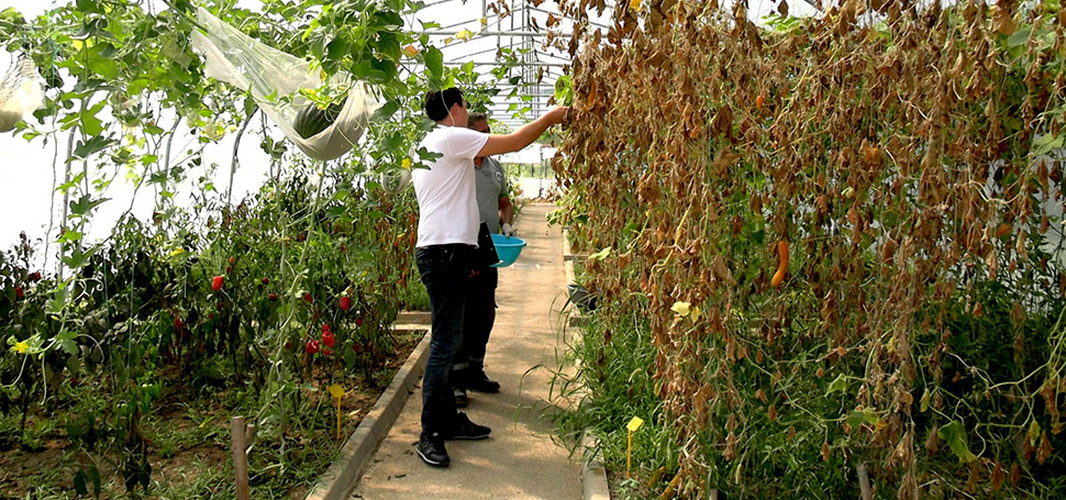 Kdz. Ereğli Belediyesi Temizlik İşleri Müdürlüğü Park ve Bahçeler Birimi