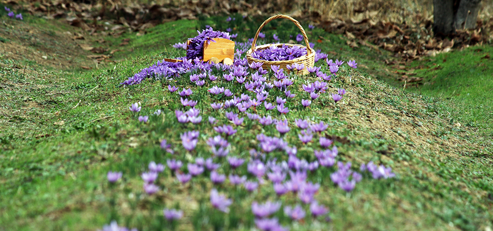 UNESCO Dünya Miras Listesi’nde yer alan Karabük’ün Safranbolu ilçesiyle özdeşleşen