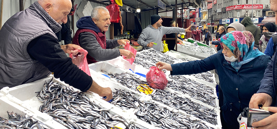 Zonguldak’ta balık fiyatlarının düşüşe geçmesiyle vatandaşlar tezgahlara yoğun ilgi gösterdi.