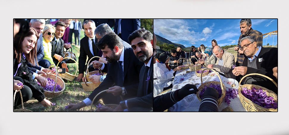 Karabük‘ün Safranbolu ilçesinde “Markalaşma Yolunda Safran Projesi Tanıtımı” çerçevesinde safran