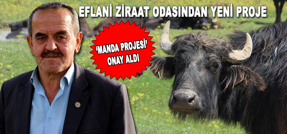 Eflani Ziraat Odasının yeni projesi olan ‘Manda Projesi’ Tarım Bakanlığından