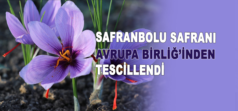 Karabük’ün Safranbolu ilçesinde, boya, yemek, kozmetik, ilaç ve gıda sektörü