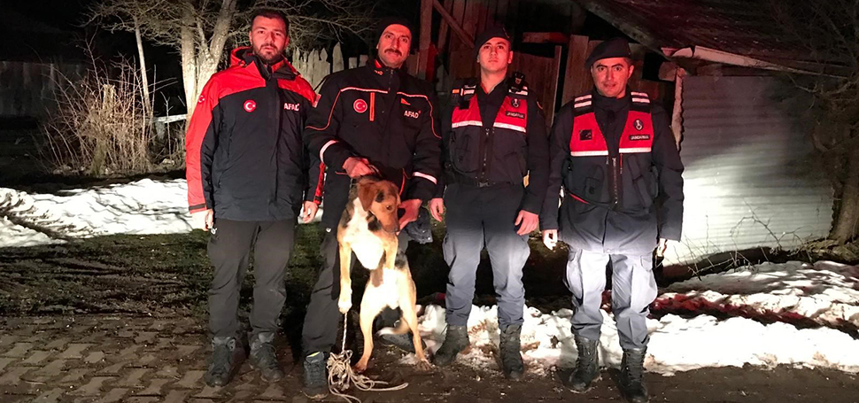 Karabük’ün Eflani ilçesinde kayalıklarda mahsur kalan köpek AFAD ekiplerince indirildi.