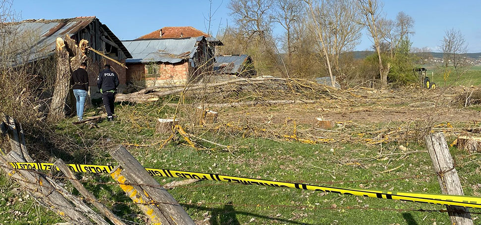 Karabük’ün Eflani ilçesinde kestiği ağacın altında kalan kişi hayatını kaybetti.