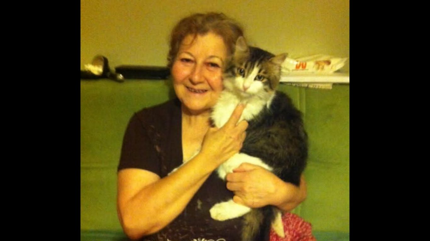 Karabük’te uzun yıllar Hürriyet Caddesi’ndeki Filiz Color aile şirketinde eşi