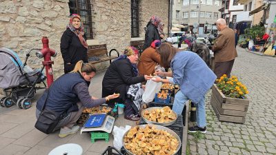 Karabük’ün Safranbolu ilçesinde ormanlık alanlarda yetişen kanlıca ve ebişke mantarı