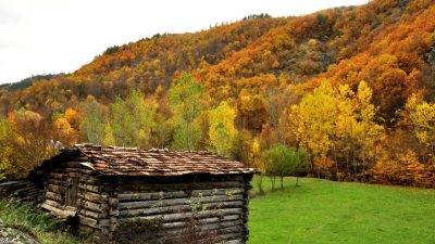 Kastamonu’nun İhsangazi ilçesinde ormanlarda sonbahar renkleri hakim oldu. Ilgaz Dağı’nın