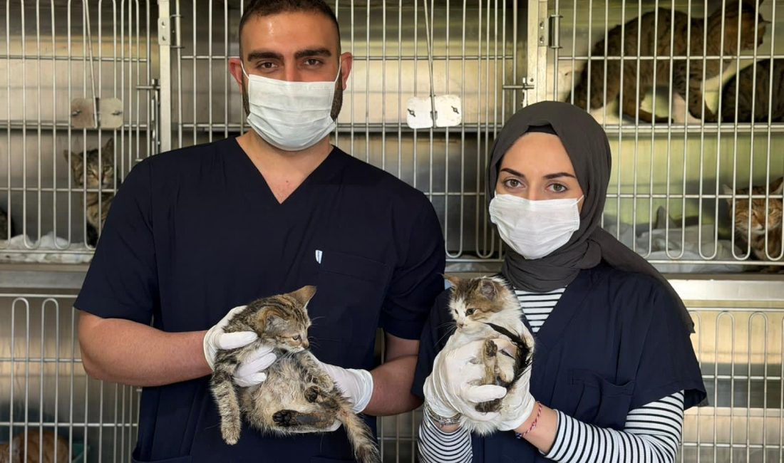 Karabük Belediyesi tarafından yenileme çalışmaları tamamlanarak Temmuz ayında hizmete açılan