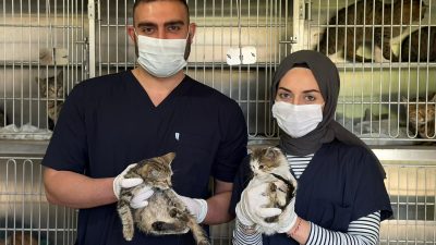 Karabük Belediyesi tarafından yenileme çalışmaları tamamlanarak Temmuz ayında hizmete açılan