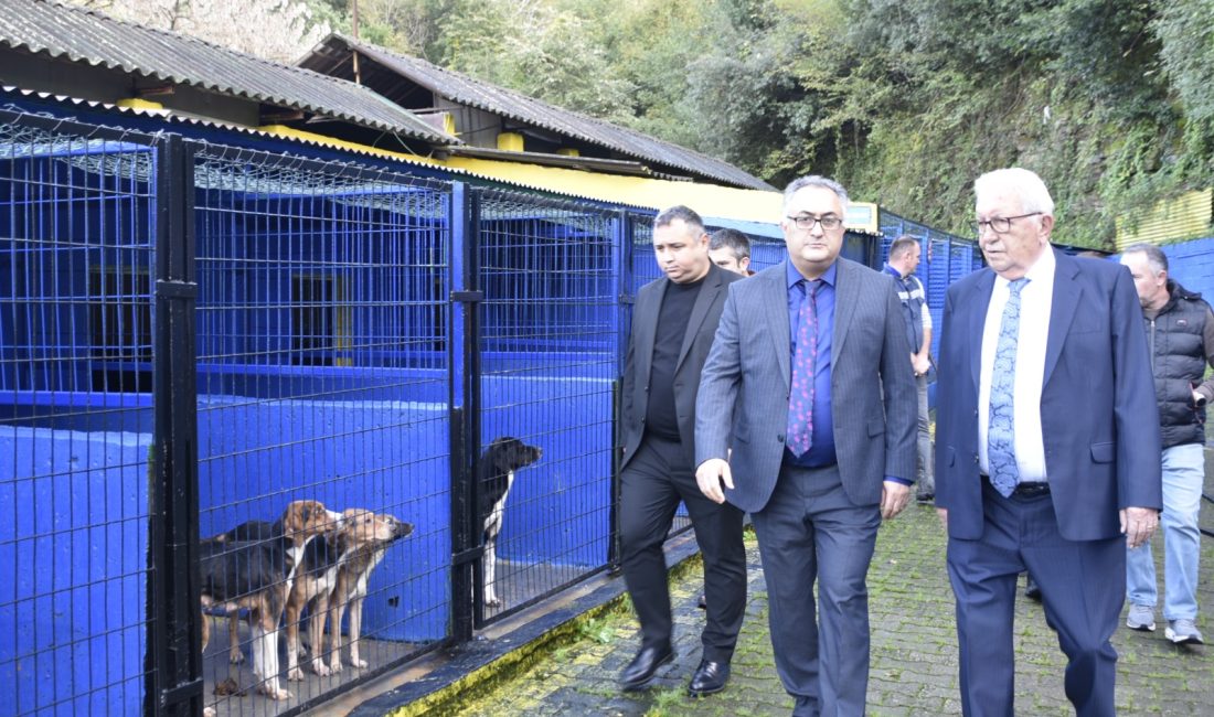 Kdz. Ereğli Belediye Başkanı Halil Posbıyık, Sokak Hayvanları Rehabilitasyon ve