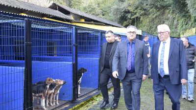 Kdz. Ereğli Belediye Başkanı Halil Posbıyık, Sokak Hayvanları Rehabilitasyon ve