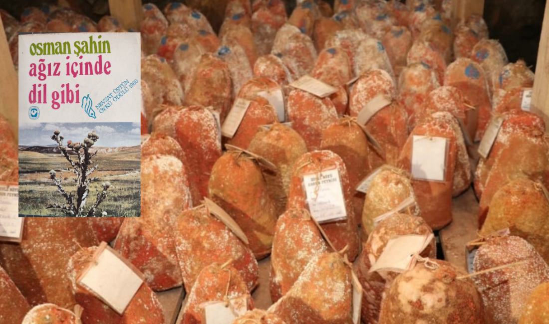 Osman Şahin adını nicedir duymuyordum. Öyküye merak sardığım 1970’li yıllarda