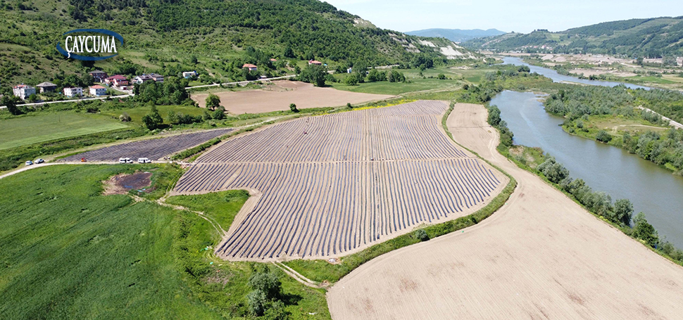 BAKKA’nın 2024-2028 yılları için hazırladığı Batı Karadeniz Bölge Planı’yla ilgili