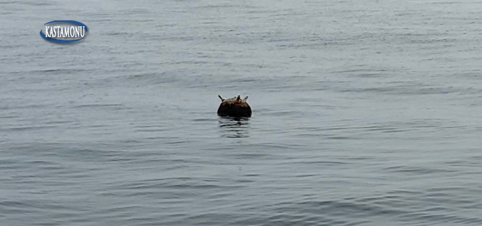 Kastamonu açıklarında tespit edilen mayın kontrollü şekilde imha edildi. Alınan