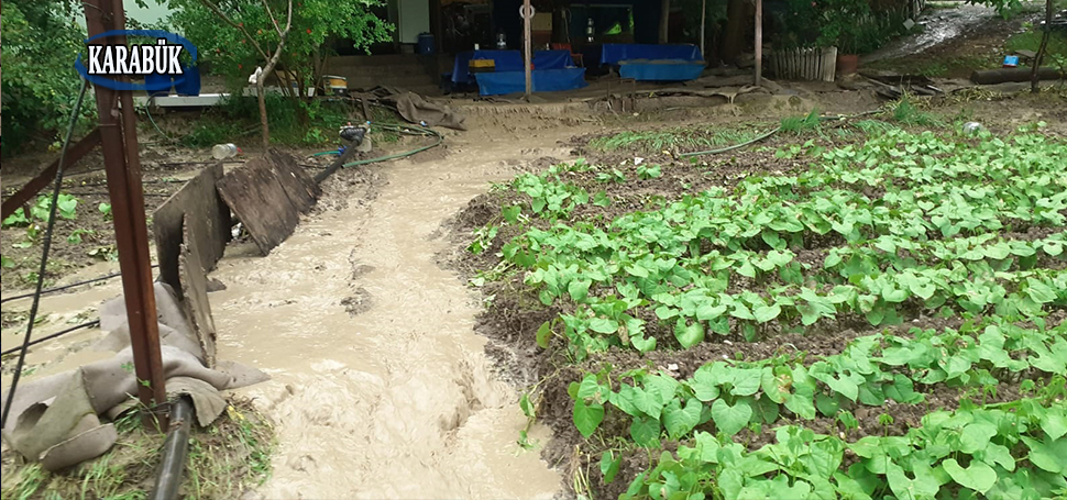 Karabük’te aniden bastıran sağanak nedeniyle tarım arazilerini su bastı. Akşam