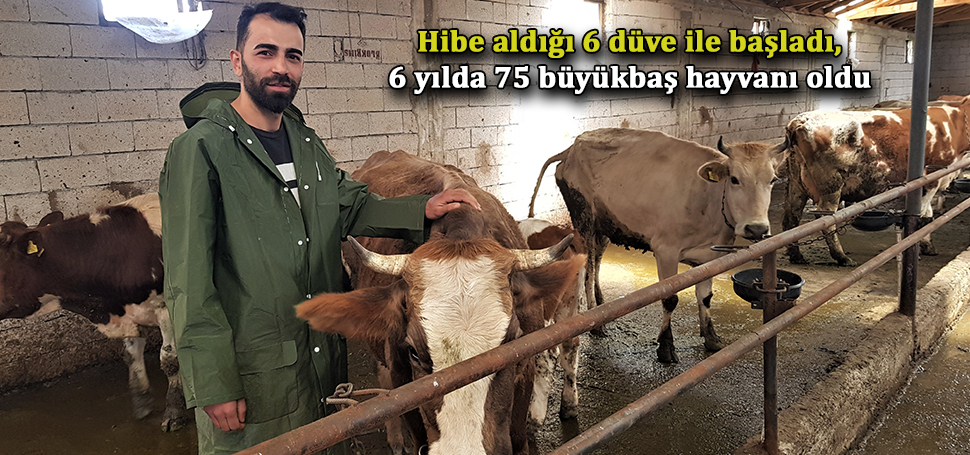 Karabük’ün Eskipazar ilçesinde 6 yıl önce hayvancılık ve tarıma başlayan