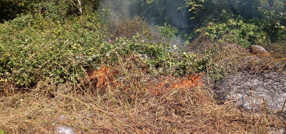 Ormanlık alandaki örtü altı yangını korkuttu Karabük’ün Yenice ilçesinde kara yolu kenarındaki ormanlık alanda çıkan örtü