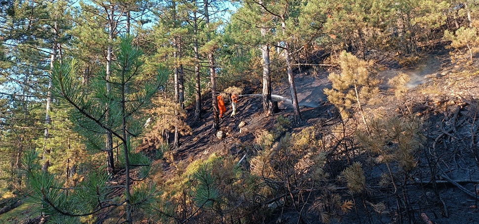 Karabük’te ormanlık alanda çıkan örtü altı yangını itfaiye ekiplerince söndürülürken