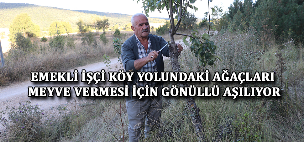 Karabük’ün Eflani ilçesinde yaşayan 63 yaşındaki emekli işçi Muhsin Tunç,