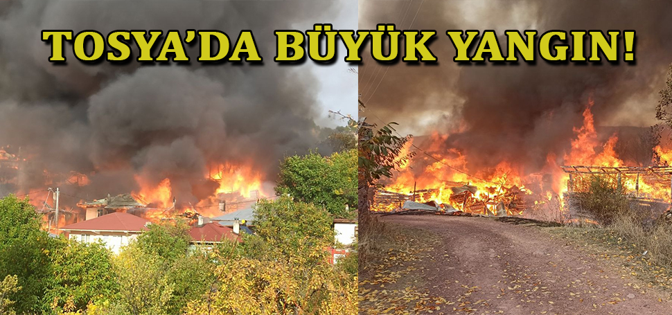 Kastamonu’nun Tosya ilçesinde bir köyde çıkan ve ilk belirlemelere göre