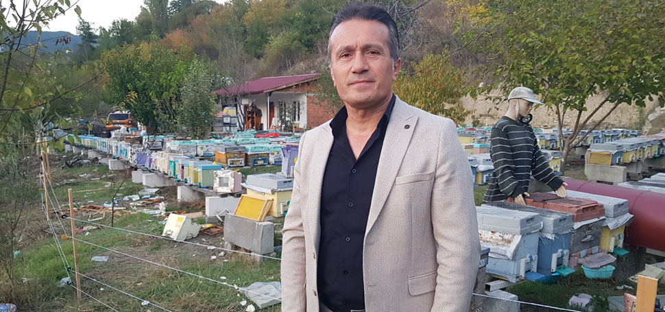 Karabük’te şehir merkezine inen ayı aç kaldığı için girdiği alanda