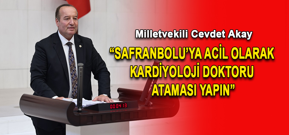 CHP Karabük Milletvekili ve TBMM Plan Bütçe Komisyonu Üyesi Cevdet