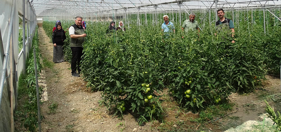 Zonguldak Orman Bölge Müdürlüğünce orman köylülerinin yerinde kalkındırılması kapsamında Eskipazar