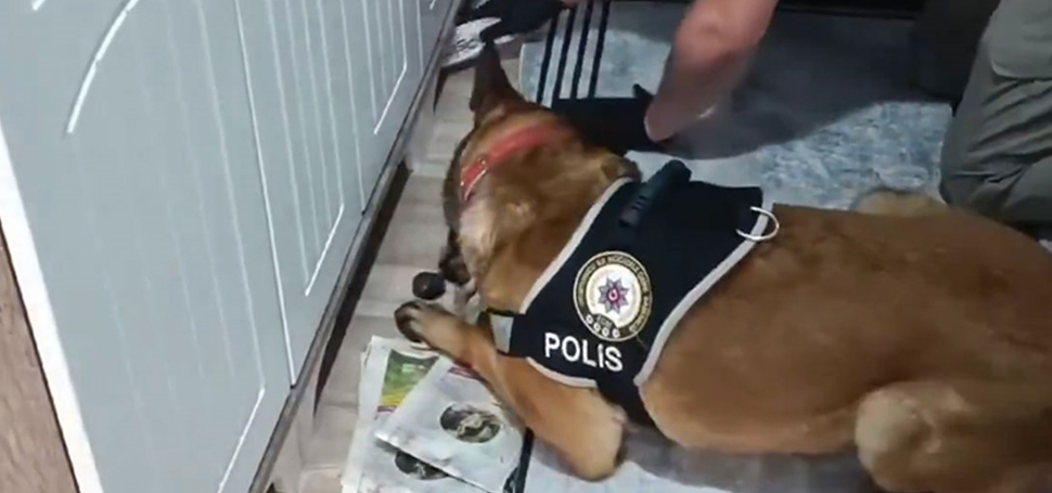 İçişleri Bakanı Ali Yerlikaya, Karabük merkezli 3 ilde düzenlenen “Kuyu-10”
