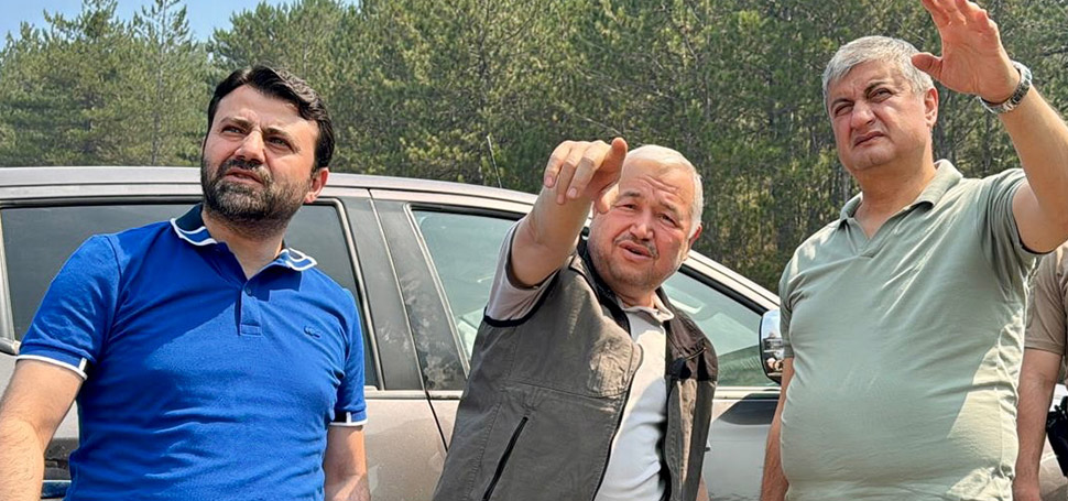 AK Parti Karabük Milletvekili Cem Şahin, Ovacık ilçesinde çıkan orman