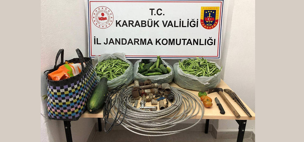 Karabük’ün Safranbolu ilçesinde bir evin bahçesine hırsızlık amaçlı giren 2