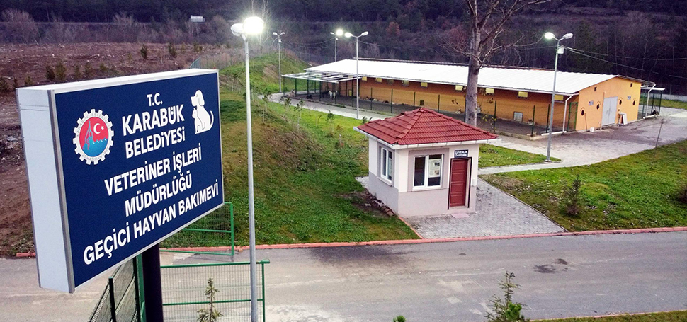 Karabük Belediyesi, sokak hayvanları için önemli bir projeyi hayata geçiriyor.