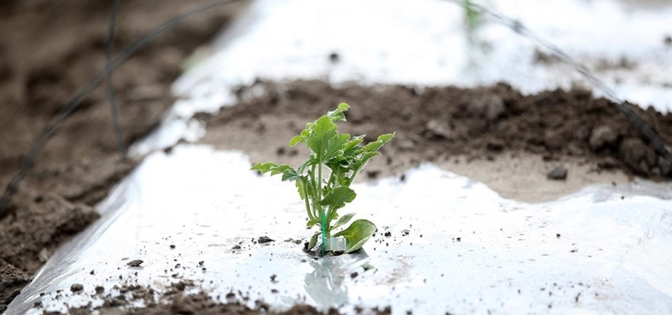 Karabük Valiliği, 18 Mart 2025 Salı gecesinden itibaren kent genelinde