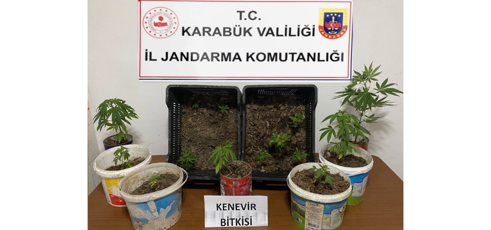 Karabük İl Jandarma Komutanlığı ekipleri, Safranbolu Cumhuriyet Savcılığı koordinesinde uyuşturucuyla