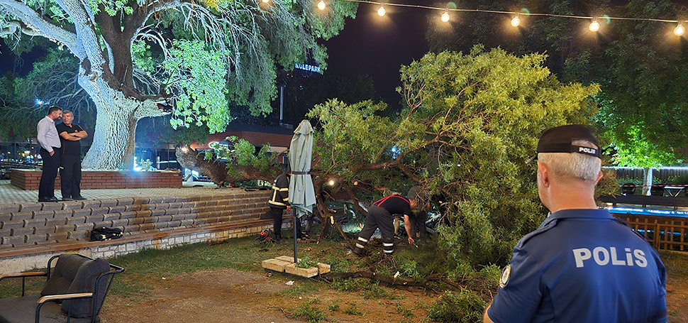 Asırlık çınar ağacının kopan dalı 4 kişiyi yaraladı Karabük’te belediye ait sosyal tesisteki asırlık çınar ağacın kopan dalının