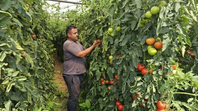 Zonguldak’ta tarım sevgisi ağır basınca baba mesleği mobilyacılık yapmaktan vazgeçen