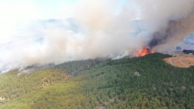 Bolu’nun Mudurnu ilçesinde çıkan orman yangınına havadan ve karadan müdahale