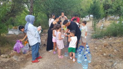 Karabük'te bir grup gönüllü çocuk, orman yangınlarının ardından fidanlara sahip