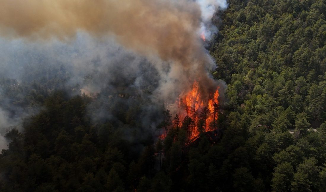 Karabük’te ormanlık alanda çıkan ve 5 Ağustos’ta kontrol altına alındıktan