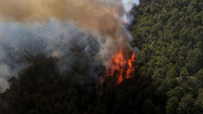 Karabük’te ormanlık alanda çıkan ve 5 Ağustos’ta kontrol altına alındıktan