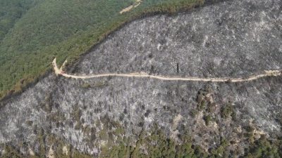 Karabük’ün Arıcak köyü mevkiinde ormanlık alanda çıkan yangında zarar gören
