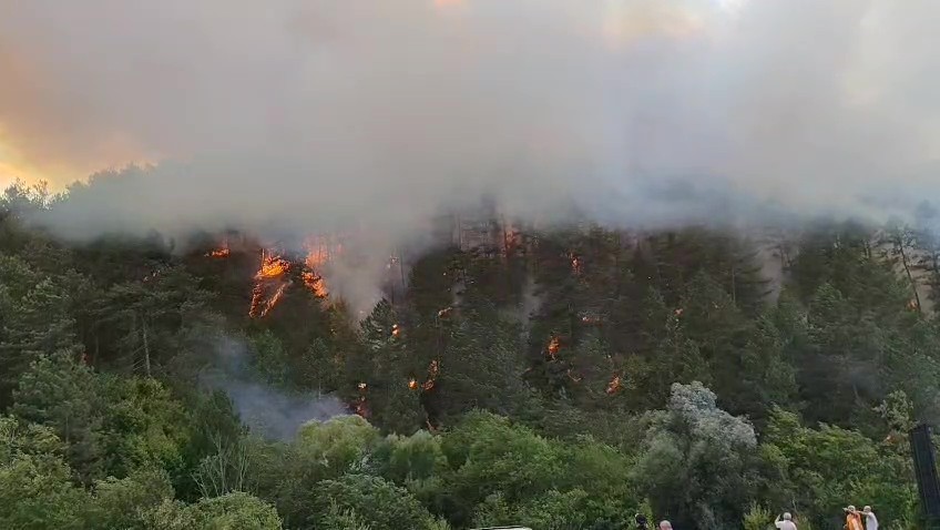 Bolu’da bidonla akaryakıt satışı yasaklandı Bolu’da orman yangınlarının önlenmesi amacıyla, zorunlu haller dışında bidon, şişe