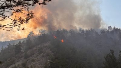 Karabük’te çıkan orman yangınını söndürmek için çalışma başlatıldı. Merkeze bağlı
