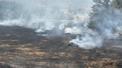 Karabük’ün Eflani ilçesinde çıkan anız yangını büyümeden söndürüldü. İlçeye bağlı
