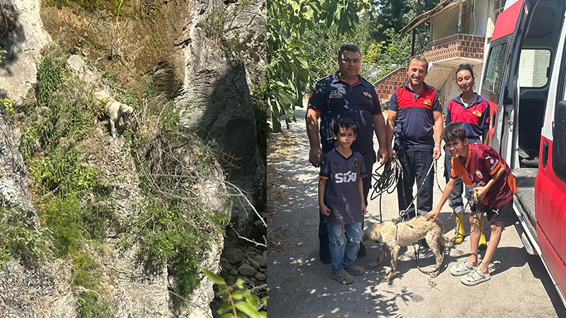 Kayalıkta mahsur kalan köpeği itfaiye ekipleri kurtardı Karabük’ün Safranbolu ilçesinde kayalıklarda mahsur kalan köpek, itfaiye ekiplerinin çalışmasıyla