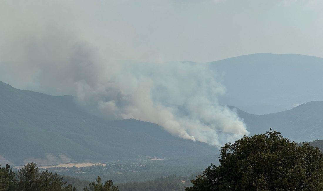 Karabük’te yeni orman yangını çıktı Karabük-Kastamonu kara yolunun Toprakcuma mevkiinde çıkan orman yangınına ekipler müdahale